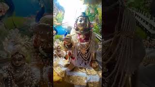 #radhy मेरा छोटा सा घर महलों का राजा है वो। जय श्री कृष्ण