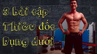 3 bài tập Bụng thiêu đốt bụng dưới hiệu quả tại nhà | Nguyễn Hoàng Gym