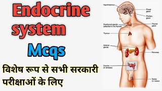 MCQ related to Endocrine system||Endocrine gland top MCQ||DSSSB, AIIMS, MP NHM and other gov. exam