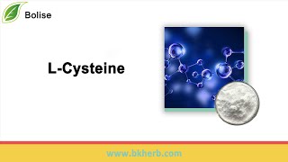 What is L-Cysteine Cas 52-90-4? L-Cysteine Function