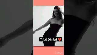 Animal Girl Tripti Dimbri 🔥🥰❤️##ytshorts #shorts #bollywood