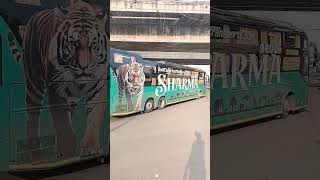 Sharma Transport Tiger theme Volvo B8R 9600s Multi Axle sleeper #bus #youtubeshorts #trending