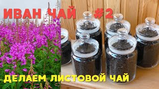 Иван Чай. Листовой чай ручной работы. Часть 2. Чай в банках.