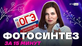 🍀Фотосинтез за 15 минут🍀| все, что нужно знать для ОГЭ | ОГЭ | ЕГЭ Биология 2024