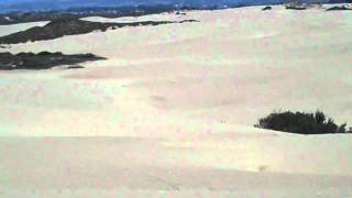 Reen on the dunes