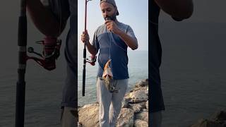 களவா மீன் 🐟🎣💪 #viral #tamil #support #trending #subscribe #fish #tamilstatus #shorts