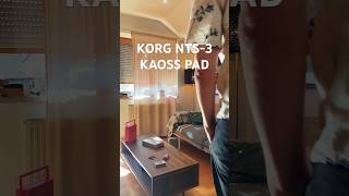 Korg NTS-3 Kaoss Pad Assembly #korg #studiogear #kaosspad