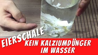 EİERSCHALE, Kein Kalziumdünger İm Wasser #dünger