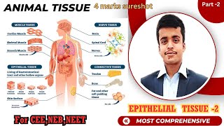 Epithelial Tissue Part -2 and  Glands For CEE ,NEB and NEET