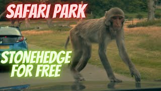 Longleat safari park (and a bit of Woburn park) and how to get to STONEHENGE FOR FREE