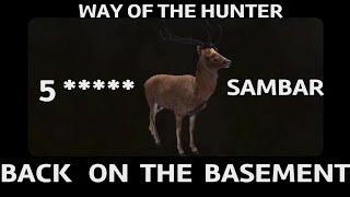 WOTH 5 STAR SAMBAR, BACK IN THE BASEMENT WAY OF THE HUNTER