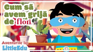 Cum să avem grija de flori? - Aventurile lui LittleEdu