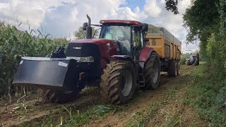 Ensilage de maïs 🌽 ( LE SON DU CASE PUMA 🤩😍)