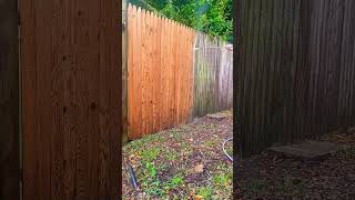 Oddly satisfying pressure washing #satisfyingpressurewashing #pressurewashing