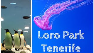 Loro Park Tenerife