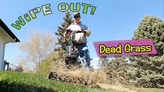 Wipe Out Dead Grass - Dethatch Your Lawn