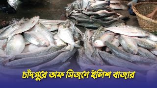 ইলিশের বাজার, চাঁদপুর | Fish market at Chandpur | Chandpur Tour