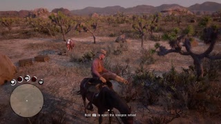 Red Dead Redemption 2