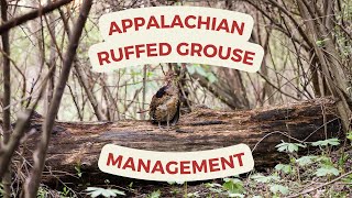 Ruffed Grouse Management with Virginia DWR Biologist Mike Dye