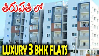 LUXURY 3 BHK FLATS FOR SALE IN TIRUMALA TIRUPATI || Pranve Developers || Padmalaya