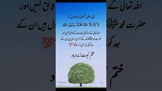 ختم نبوت زندہ باد #khatmenabuwat #shabebarat #trendingvideo #islamicvideo #trendingvideo #viral