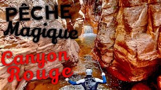 La MAGIE Des Gorges ROUGES Aux 100 Truites "CANYON SANGLANT 1/2" : Pêche, TRUITE Et NO KILL !