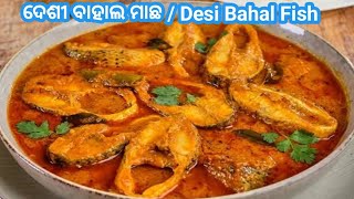 ଦେଶୀ ବାହାଲ ମାଛ / Desi Bahal Fish🫕 #curry #fish curry #fish masala #fishmasalacurry