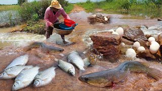 Wow amazing fishing ,  catch fish by hand skill on flooding water