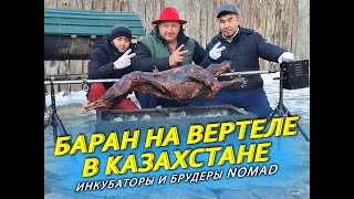 Баран на вертеле /// Карын бурме по казахски