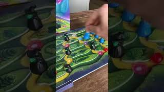 #howtoplay #magicmountain from #amigo #spiele