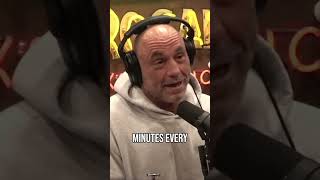 Joe Rogan Explains How Ai Can Help You With Financial Success!   #podcast #jre #jreclips #viral #fyp