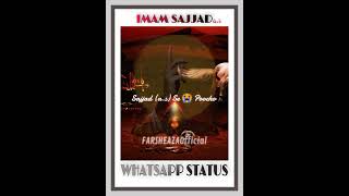 Sajjad (a.s) Se Poocho | Mir Hasan Mir | Heart touching ❤ Noha Status #Shorts