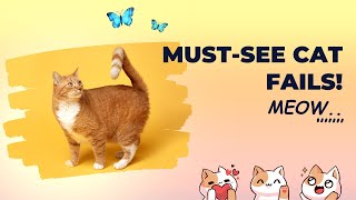 **Must-Watch Funny Cat Compilation 2024 | Top Cat Fails & Laughs Guaranteed! #trending #pets