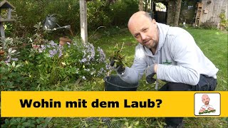 Herbstlaub im Garten / Das solltest du machen