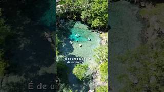 📍 Ginnie Springs - Gainesville, FL - Um dos lugares mais incríveis que já visitamos