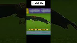 only end watch⚡⚡#shorts#youtubeshorts#cricket#status#viralvideos#Pakistan vs #Newzelad #cricketshort