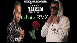 TE BOTE RMX