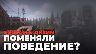 БСГ ИЗМЕНИЛИ ДИКИХ? ● НОВОСТИ ТАРКОВА ● #eft #tarkov #тарков #ефт