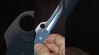 Spyderco Massad Ayoob. Sprintrun 2023. C60GPGY