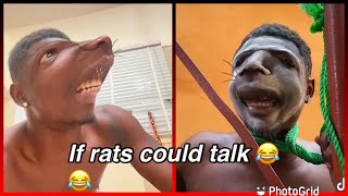 If rats could talk || shankcomics comedy