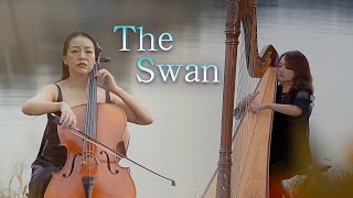 The Swan flies over the Canal, the CPO String Duo delivers a world-famous piece on a warm autumn day