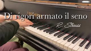 Di rigori armato il seno, Karaoke, Der Rosenkavalier, Italian singer, Piano Accompaniment, R.Strauss