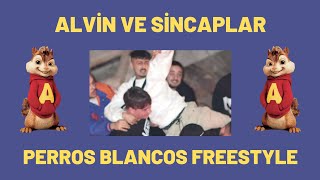 ÇAKAL & RECKOL - PERROS BLANCOS FREESTYLE | ALVİN VE SİNCAPLAR