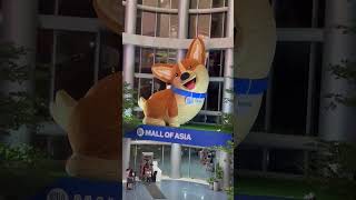 Dog in Mall of Asia😜 #dog #youtubeshorts