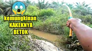 BESARNYA BETOK RAWA YANG BIKIN PENASARAN || Mancing betok monster