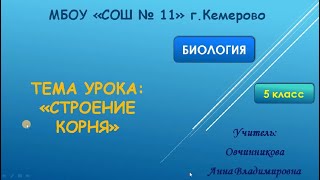 5кл_Биология_Строение корня_Овчинникова А.В.