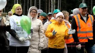 Акция "Наш лес. Посади свое дерево" в Рузском районе