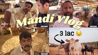 Vlog safoora mande rates😳😳