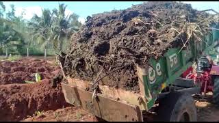 Smallhold farming: Enriching soil with Farm Yard Manure