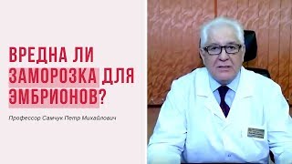 Вредна ли заморозка для эмбрионов?